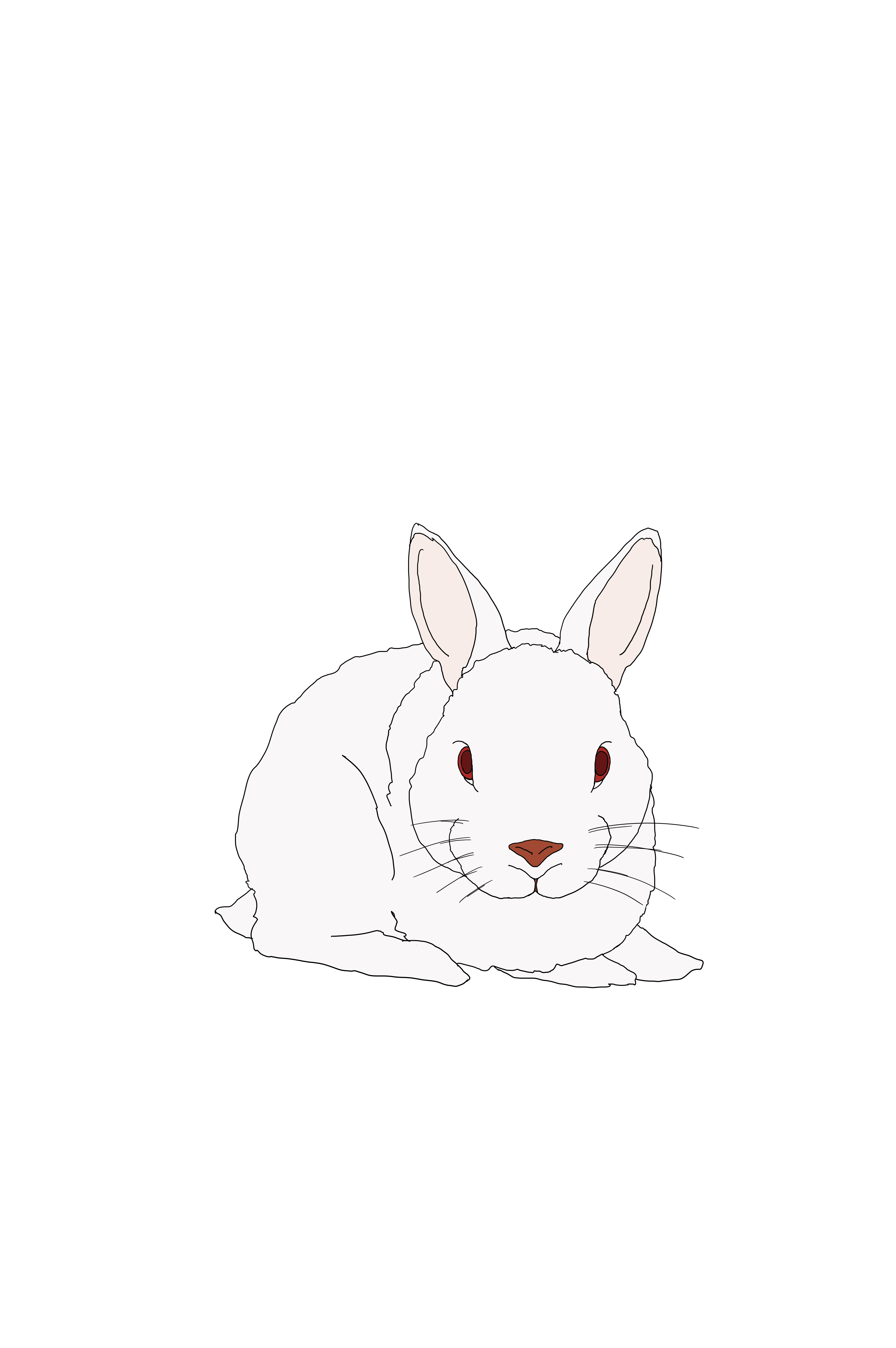 Rabbit White